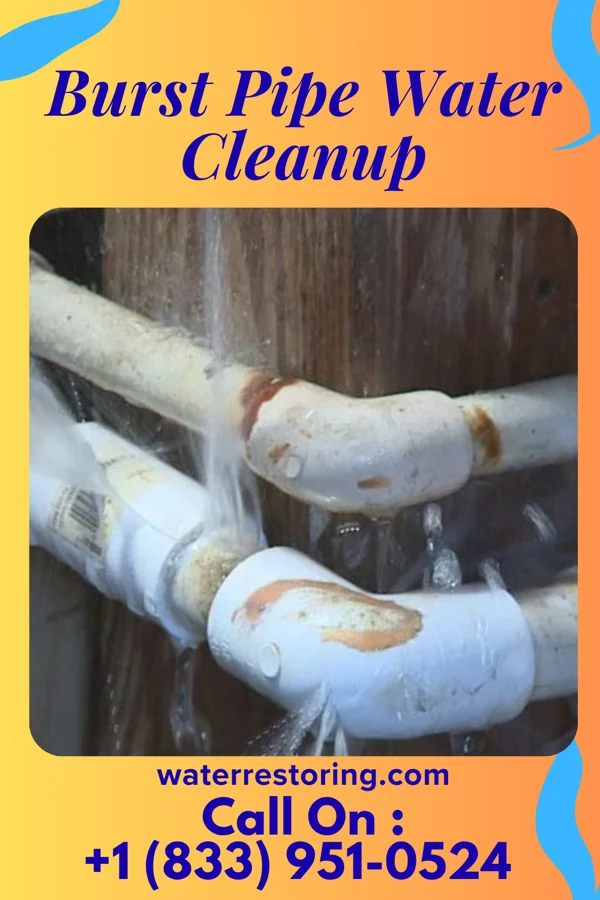 Burst Pipe Water Cleanup in Salem, IA