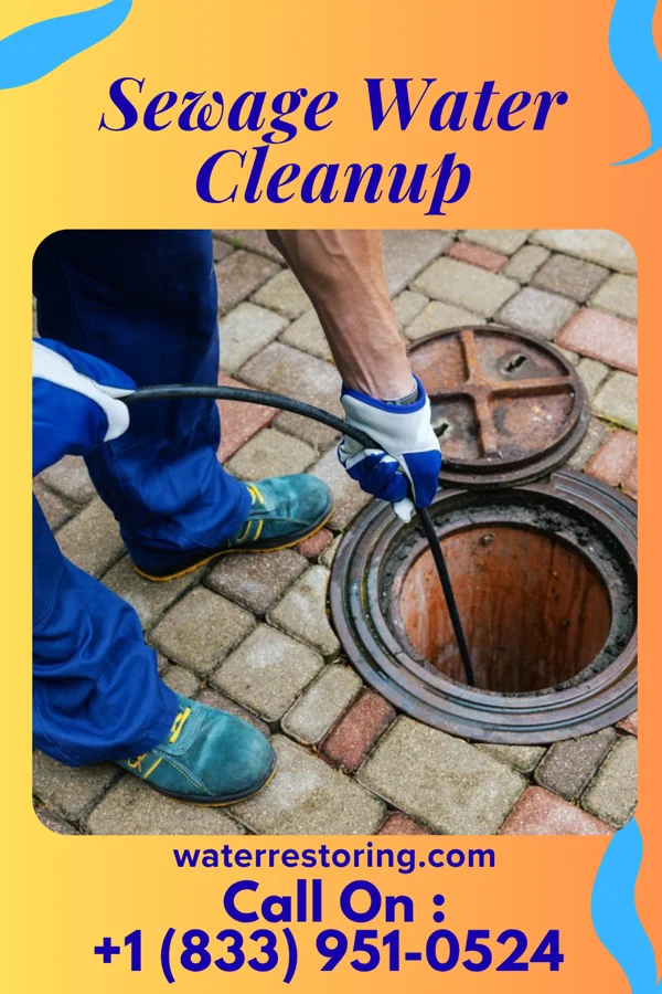 Sewage Water Cleanup in Salem, IA